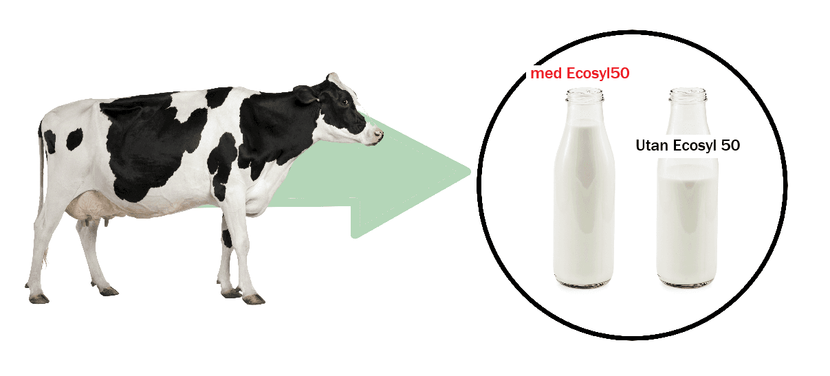 Increase Milk