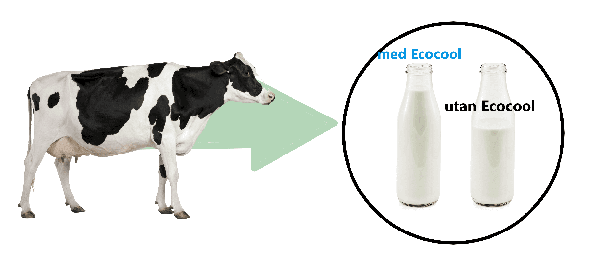Increase Milk
